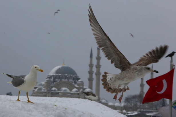 Beyaz İstanbul havadan böyle görüntülendi 34