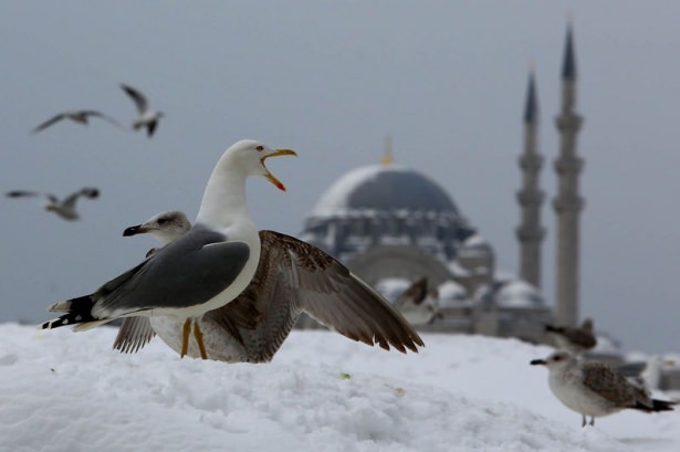 Beyaz İstanbul havadan böyle görüntülendi 46