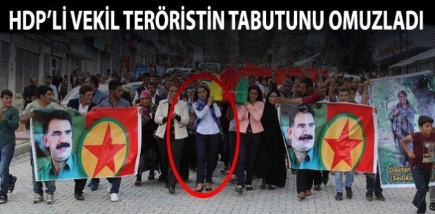İşte HDP'li vekillerin işledikleri suçlar 16