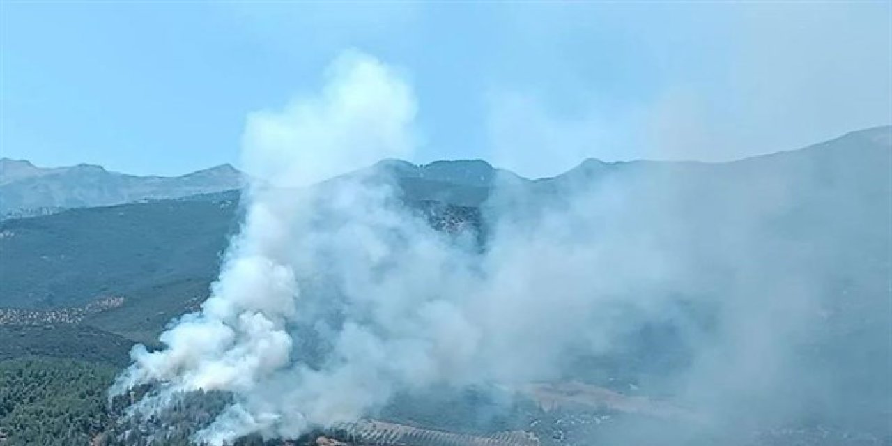 İki ilde orman yangını! Vatandaşlar tahliye ediliyor