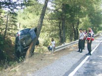 Kadın şoför otomobili ağaca çıkardı