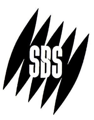SBS yerleştirme sonuçları açıklandı