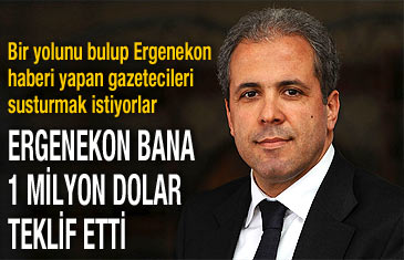 Ergenekon bana 1 milyon dolar teklif etti