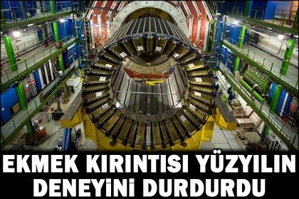 CERN'i ekmek kırıntısı durdurdu