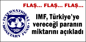 IMF kararını verdi