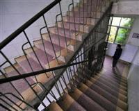 Okul merdiveninde facia: 8 ölü