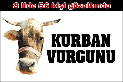 Kurban vurgunu