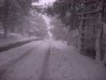 Bolu Dağında kar yağışı