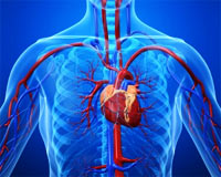 Karbonhidratlar kalp hastalığı riskini ikiye katlıyor