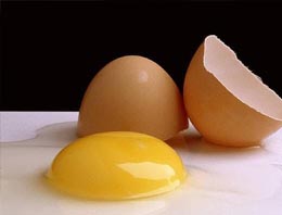 Yumurta ve süte okul zammı