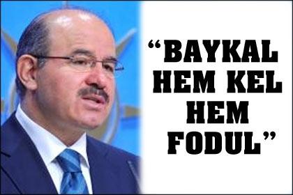 AK Partili Çelik: Baykal hem kel hem fodul