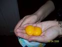 Sarısı koyu renk olan yumurta daha yararlı!