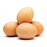 Yumurta fiyatları artıyor