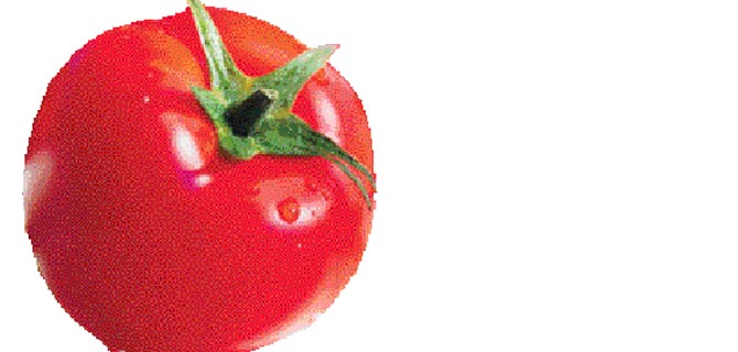 İsrail, Türkiyeden domates almak istiyor