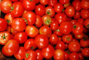 Sera ürünlerinin satışa sunulması ile domatesin fiyatı düşecek