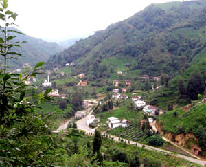 Satılık köy