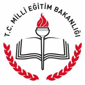 CHP, İLKÖĞRETİM OKULLARINDAKİ DÜŞÜK ZİHİNSEL BECERİ DÜZEYİNİ MECLİS'E TAŞIDI