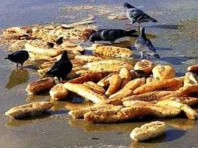 Türkiye'de Büyük Ekmek İsrafı!