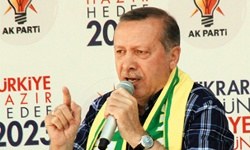Erdoğan:Nedir bu molotoflar
