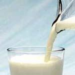 Hükümetten öğrencilere müjde; okullarda bedava süt dağıtılacak
