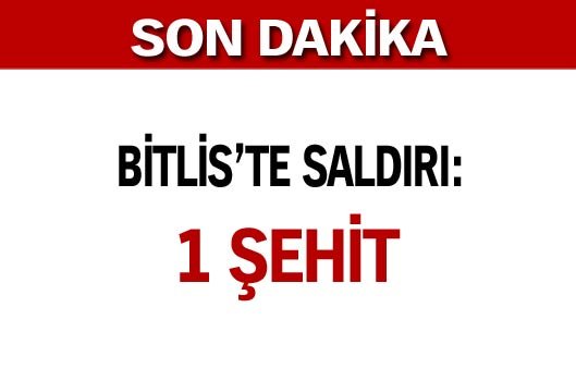 Bitlis'te saldırı