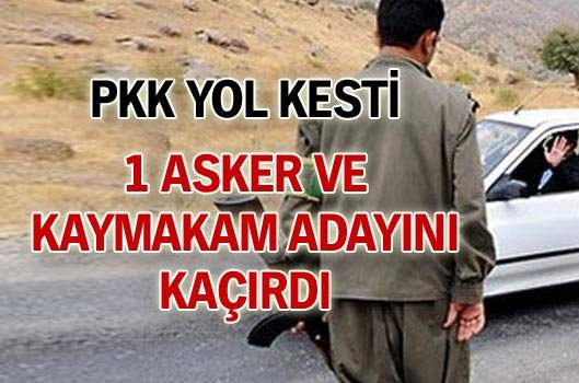 PKK bir asker ile kaymakam adayını kaçırdı