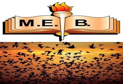 MEB, Anadolu Lisesi öğretmenlerini uyarmalıdır