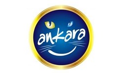 İşte Ankara'nın yeni logosu