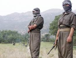 Bitlis ve Siirt'te PKK'ya ölümcül darbe