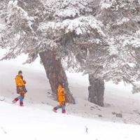 Boludaki enkaza Fransa üzerinden ulaşılabildi