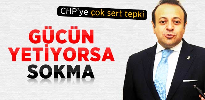 Bağış'tan CHP'li Loğoğlu'na: Hadi Gücün Yetiyorsa Sokma