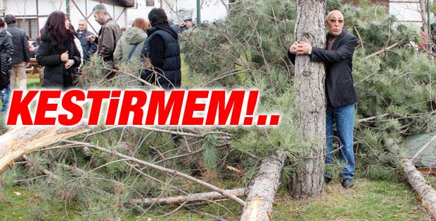 Ankara'da yeni bir ağaç eylemi