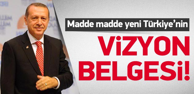 İşte 20 karede Erdoğan'ın vizyon belgesi