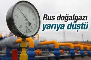 Taner Yıldız: Rus doğalgazı yarıya düştü