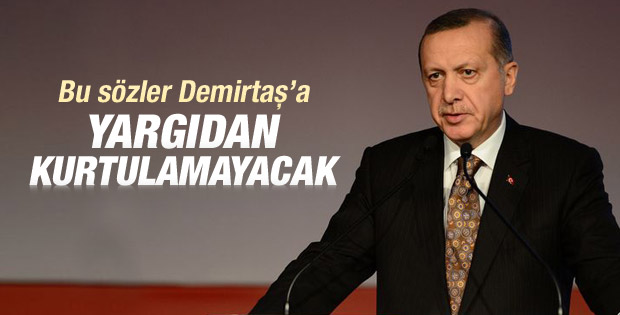 Erdoğan: Demirtaş Yargıdan Kurtulamayacak