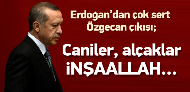 Erdoğan: Zanlılar inşaallah en ağır cezayı alır
