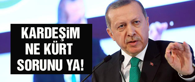 Erdoğan: Kardeşim ne Kürt sorunu ya!