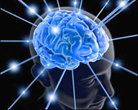 İnsan zekâsı gelişiyor: Yeni neslin hafızası daha güçlü