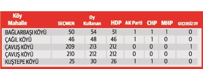 Bazı köylerde HDP'ye seçmen sayısından fazla oy çıktı