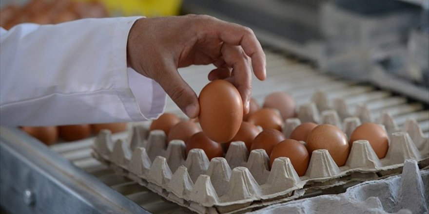 Köy Yumurtası "Hilesini" Bitirecek Düzenleme
