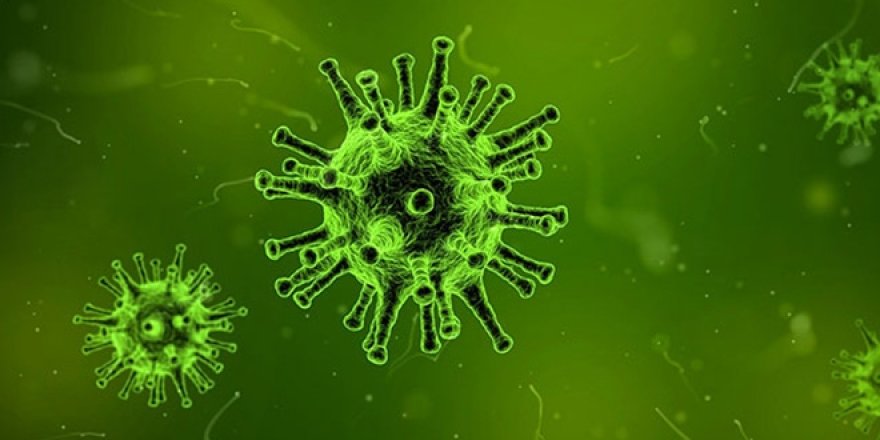 Virüste yeni araştırma: Grip gibi her sene tekrar edebilir
