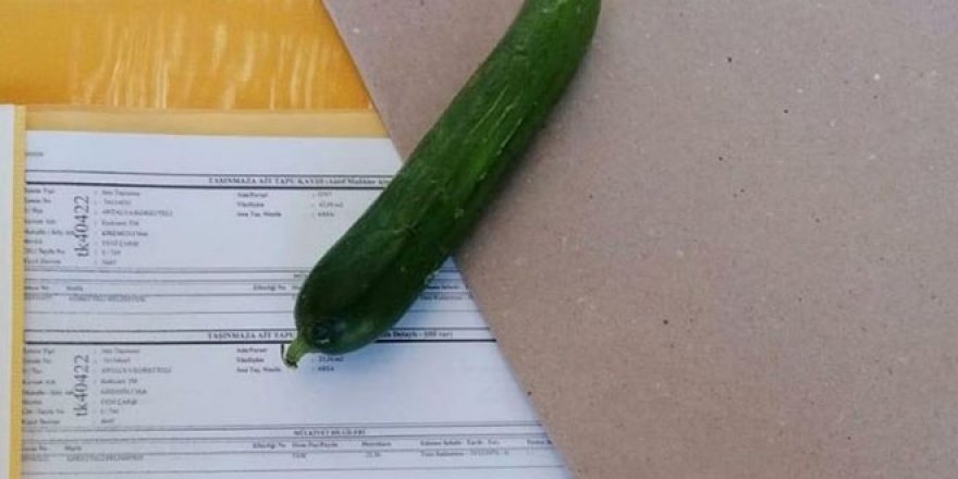 Belediye başkanı, ilçe başkanına zarf içinde 'salatalık' gönderdi