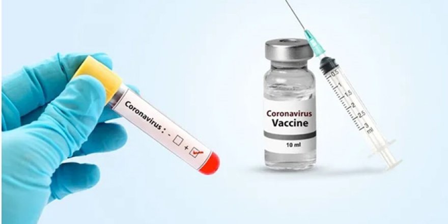 Aşıda yeni umut: 30 bin kişi ile yapılacak testler başladı