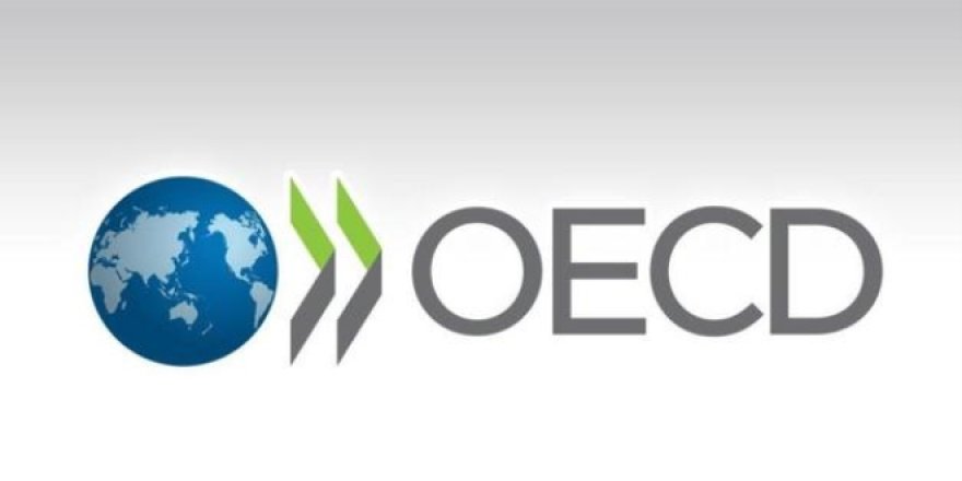 OECD, Türkiye için tahminini iyileştirdi