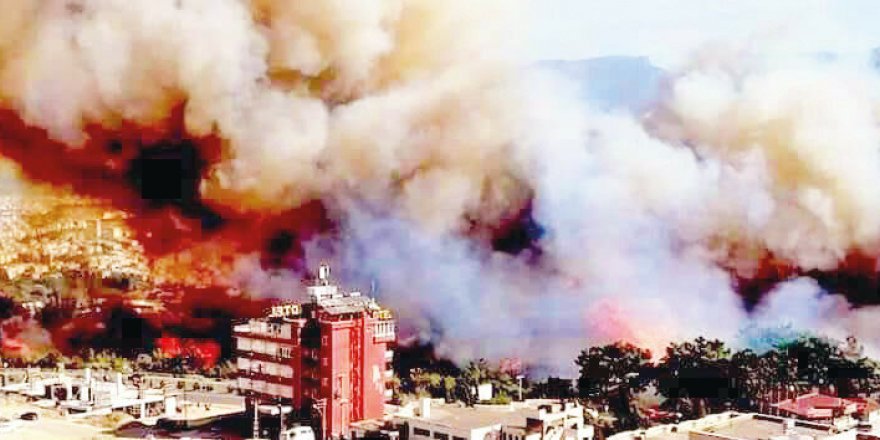 Ormanları PKK yakıyor