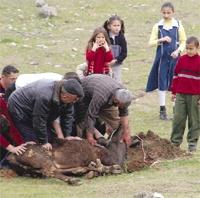 Sokak ortasında kurban kesene ceza yağacak