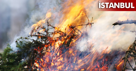 Aydos'taki orman yangını söndürüldü